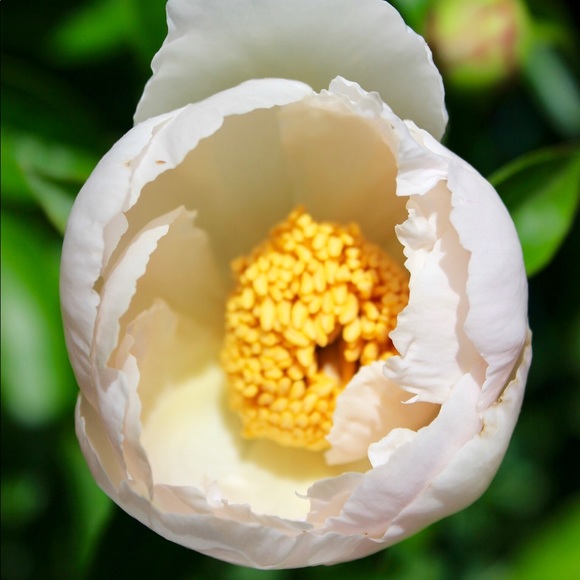 Meet your Posher, Sarah - Picture 5 of 7